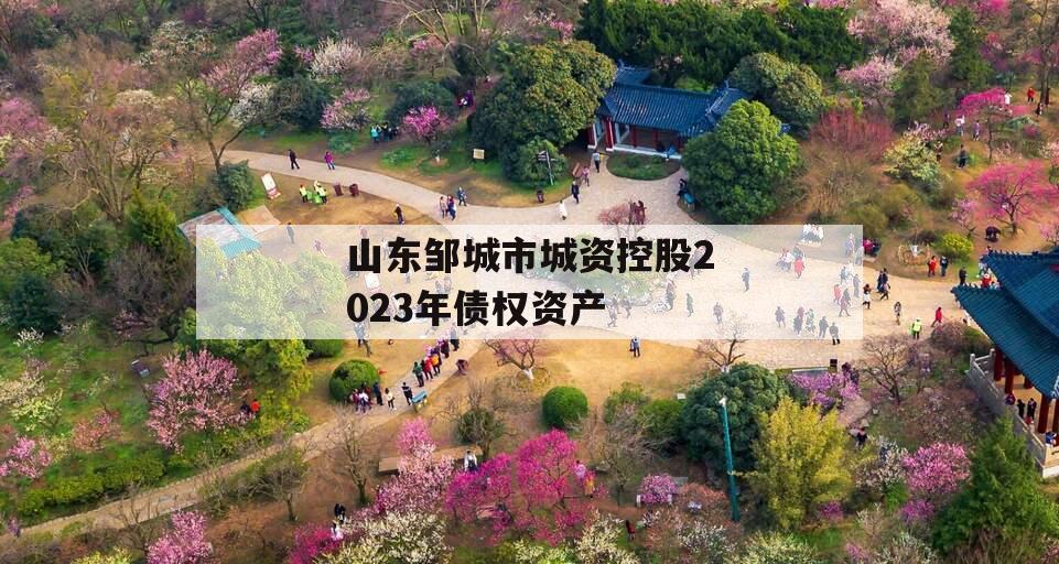 山东邹城市城资控股2023年债权资产