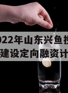 2022年山东兴鱼投资建设定向融资计划