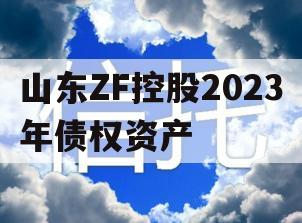 山东ZF控股2023年债权资产