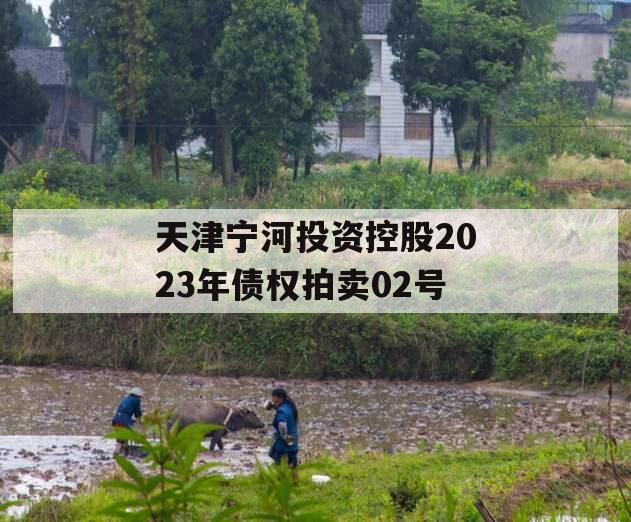 天津宁河投资控股2023年债权拍卖02号