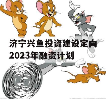 济宁兴鱼投资建设定向2023年融资计划
