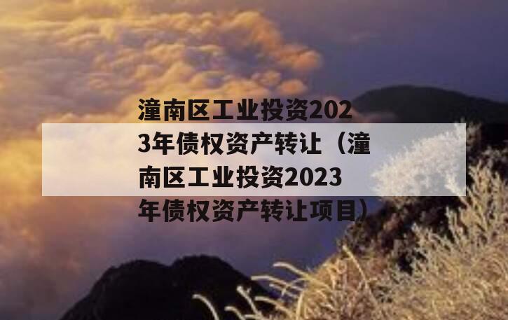 潼南区工业投资2023年债权资产转让（潼南区工业投资2023年债权资产转让项目）