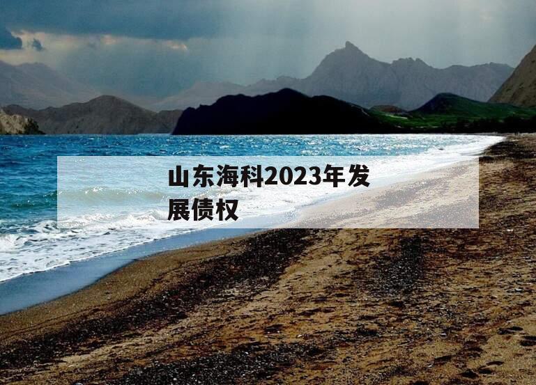 山东海科2023年发展债权