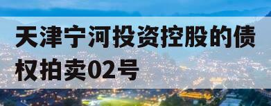 天津宁河投资控股的债权拍卖02号