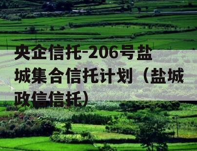 央企信托-206号盐城集合信托计划（盐城政信信托）