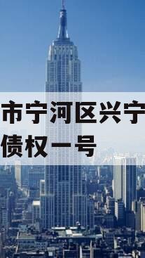 天津市宁河区兴宁建设投资债权一号