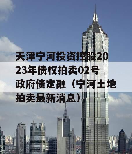 天津宁河投资控股2023年债权拍卖02号政府债定融（宁河土地拍卖最新消息）