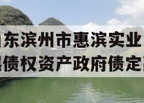 山东滨州市惠滨实业发展债权资产政府债定融