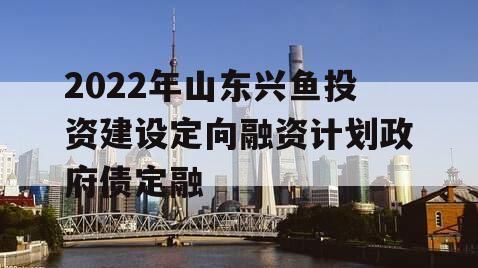 2022年山东兴鱼投资建设定向融资计划政府债定融