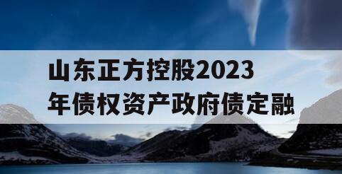 山东正方控股2023年债权资产政府债定融