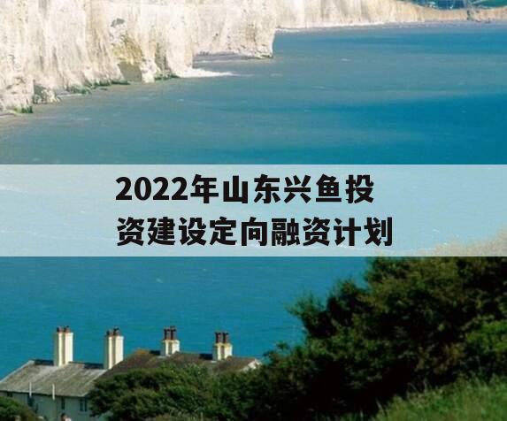 2022年山东兴鱼投资建设定向融资计划