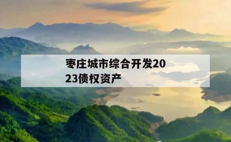 枣庄城市综合开发2023债权资产