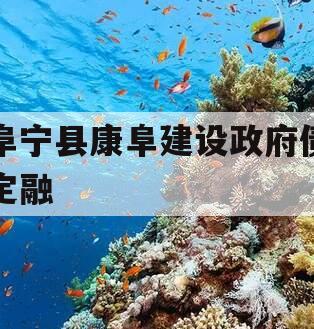 阜宁县康阜建设政府债定融