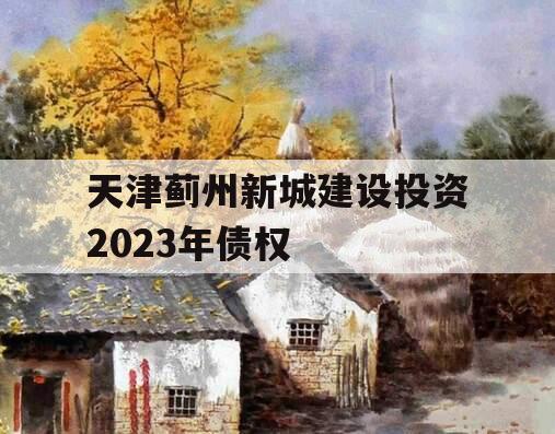 天津蓟州新城建设投资2023年债权