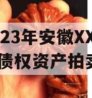 2023年安徽XX城建债权资产拍卖