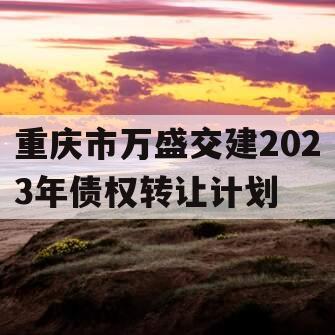 重庆市万盛交建2023年债权转让计划