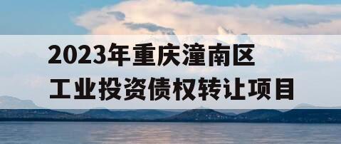 2023年重庆潼南区工业投资债权转让项目