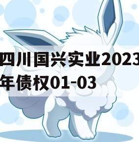 四川国兴实业2023年债权01-03