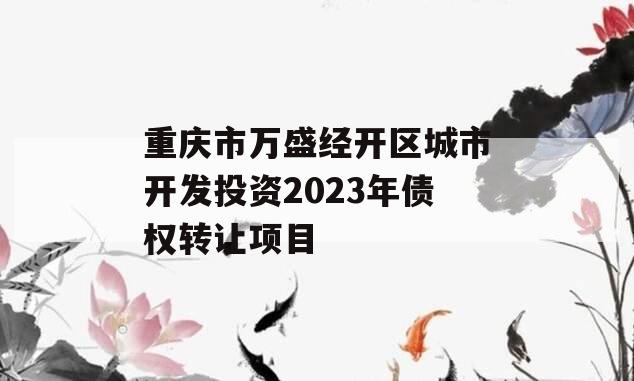 重庆市万盛经开区城市开发投资2023年债权转让项目