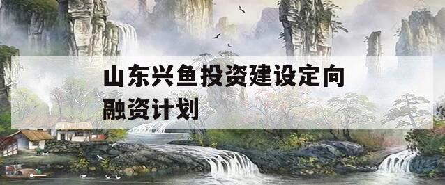 山东兴鱼投资建设定向融资计划