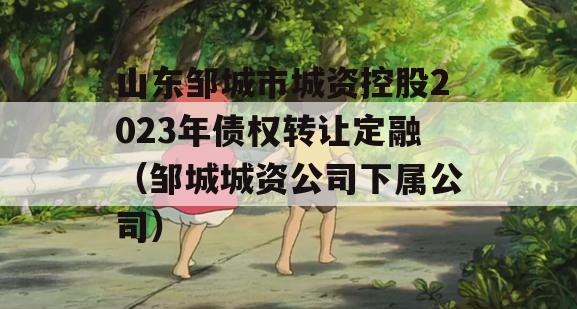 山东邹城市城资控股2023年债权转让定融（邹城城资公司下属公司）