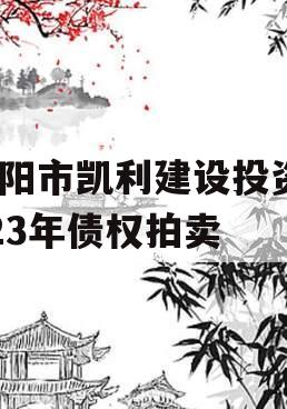 资阳市凯利建设投资2023年债权拍卖