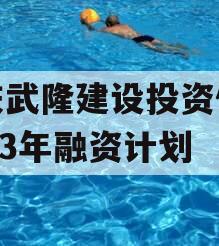 重庆武隆建设投资债权2023年融资计划