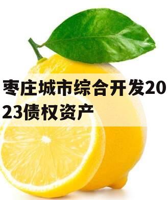 枣庄城市综合开发2023债权资产