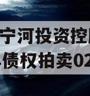 天津宁河投资控股2023年债权拍卖02号