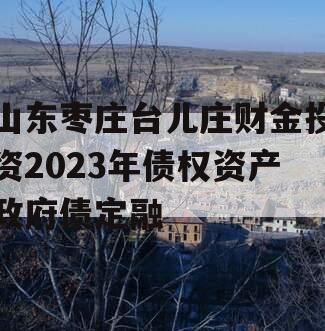 山东枣庄台儿庄财金投资2023年债权资产政府债定融