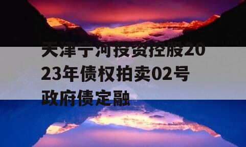 天津宁河投资控股2023年债权拍卖02号政府债定融