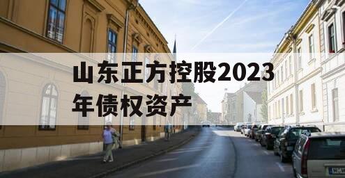 山东正方控股2023年债权资产