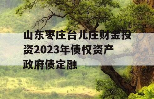 山东枣庄台儿庄财金投资2023年债权资产政府债定融