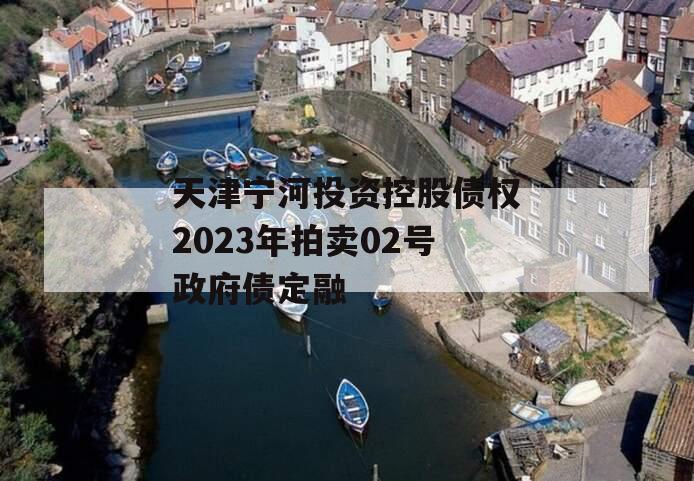 天津宁河投资控股债权2023年拍卖02号政府债定融