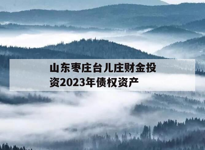 山东枣庄台儿庄财金投资2023年债权资产