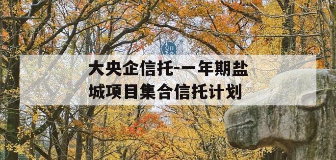 大央企信托-一年期盐城项目集合信托计划