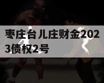 枣庄台儿庄财金2023债权2号