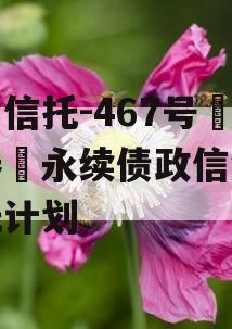 央企信托-467号‮兴泰‬永续债政信集合信托计划