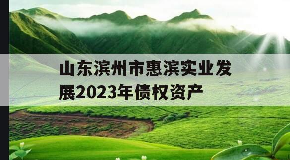 山东滨州市惠滨实业发展2023年债权资产