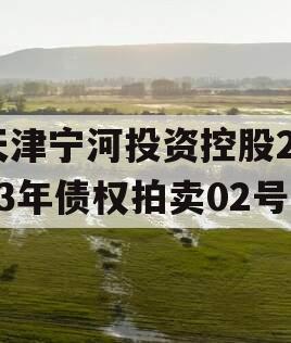 天津宁河投资控股2023年债权拍卖02号