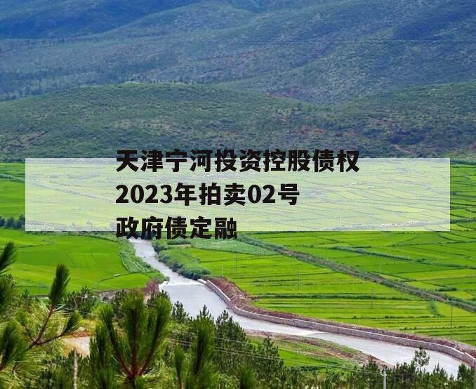 天津宁河投资控股债权2023年拍卖02号政府债定融