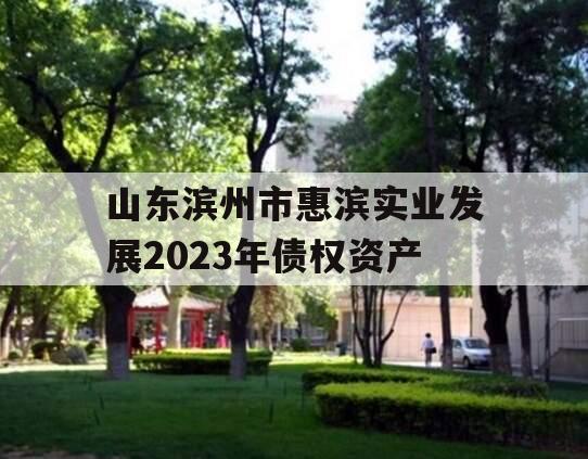 山东滨州市惠滨实业发展2023年债权资产