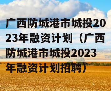 广西防城港市城投2023年融资计划（广西防城港市城投2023年融资计划招聘）