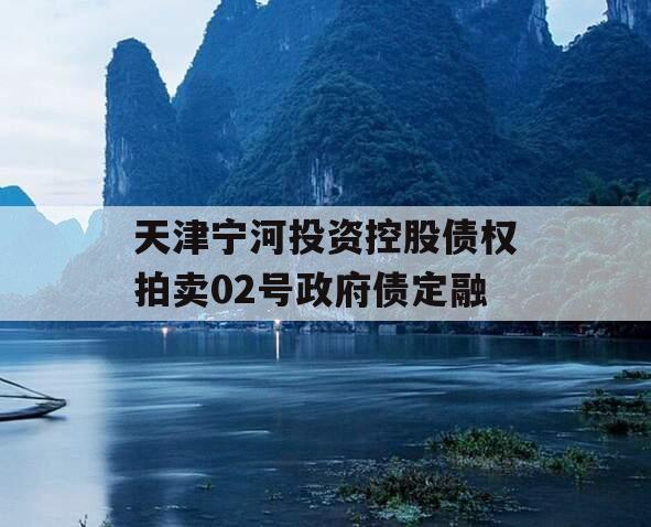 天津宁河投资控股债权拍卖02号政府债定融