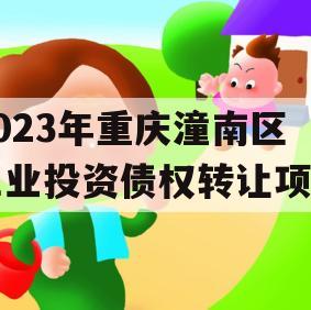 2023年重庆潼南区工业投资债权转让项目