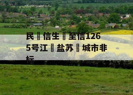 民‮信生‬至信1265号江‮盐苏‬城市非标