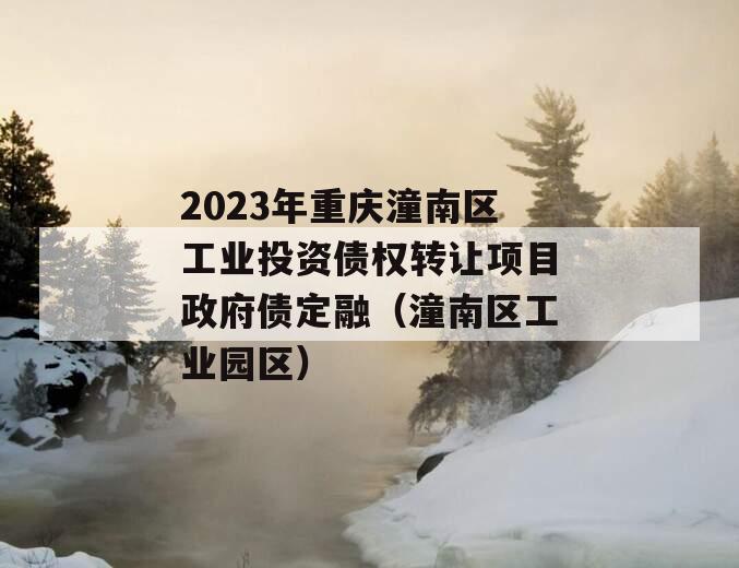 2023年重庆潼南区工业投资债权转让项目政府债定融（潼南区工业园区）