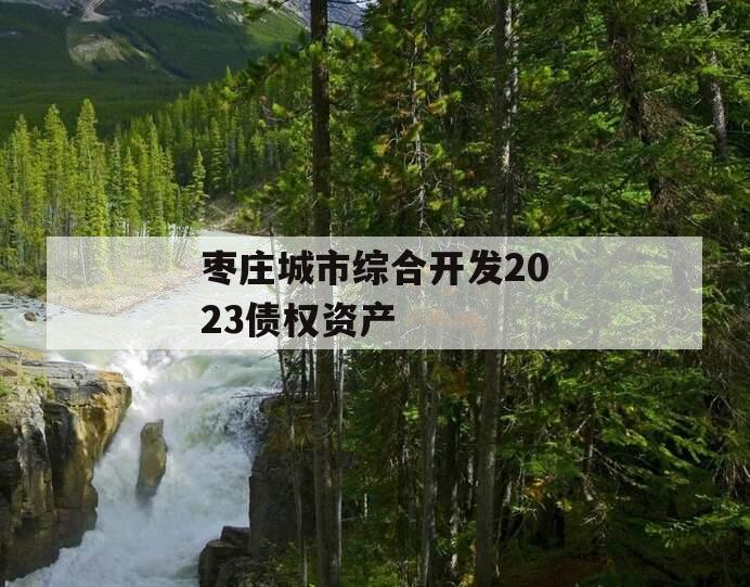 枣庄城市综合开发2023债权资产