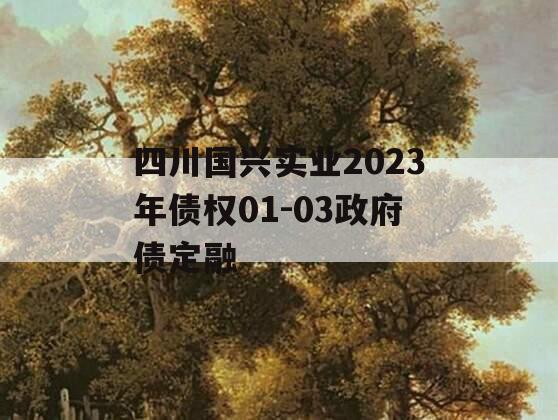 四川国兴实业2023年债权01-03政府债定融