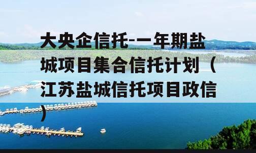 大央企信托-一年期盐城项目集合信托计划（江苏盐城信托项目政信）